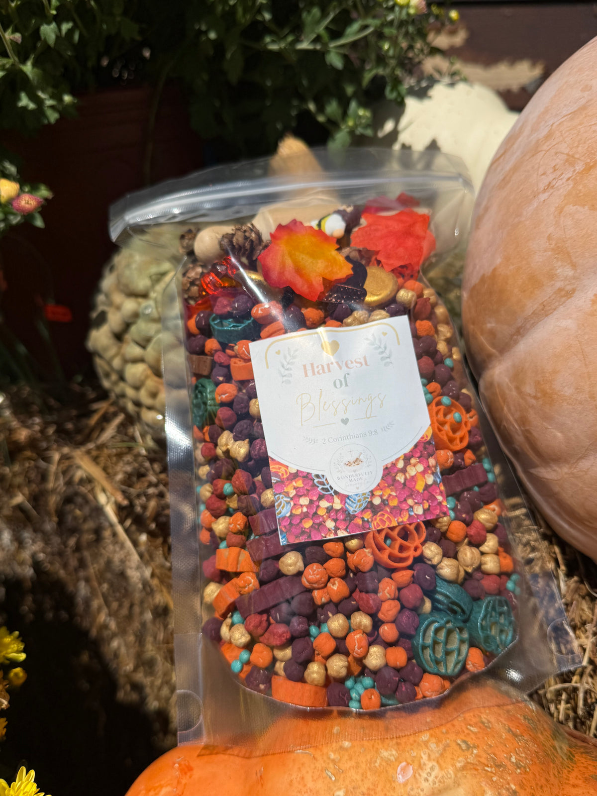 Harvest of Blessings Sensory Kit
